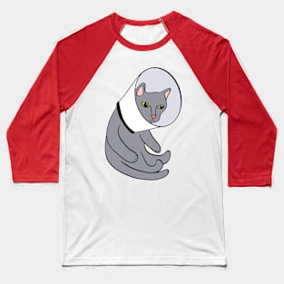 Cat in a Cone Baseball T-Shirt